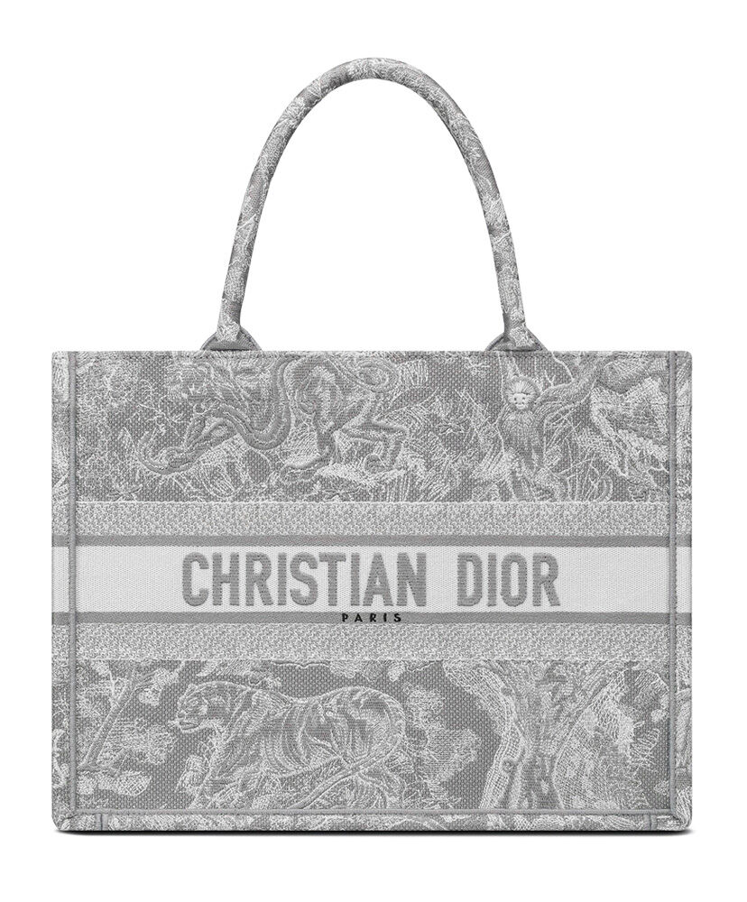 Christian Dior Small Dior Book Tote Canvas Grey